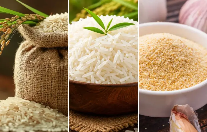 harvest_categories1-1
